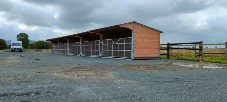 Abri de stabulation PRO LCI Cheval - robuste, personnalisable, fabrication française_2