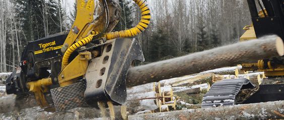 Tête d'abattage 575 Tigercat - largeur maximum 1 990 mm - robuste et productive pour divers profils d'arbres_2