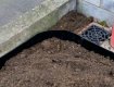 Géotextiles anti-racines TERRAM Root Guard - protection des infrastructures contre les racines_2