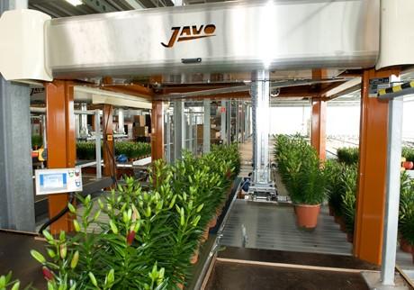 Robot horticole Linea Recta - Javo - Haute précision et vitesse pour pots ronds_2