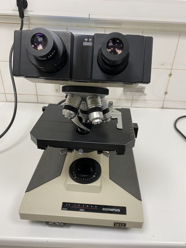 Microscope de laboratoire d'occasion bh-2 olympus - p2212-1959_2