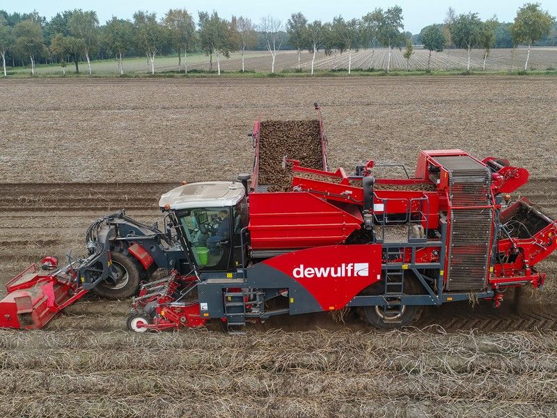 Arracheuse par tamissage R3060 - Dewulf BV - moteur Scania 350 ch - largeur 3500 mm - cabine spacieuse Claas_2