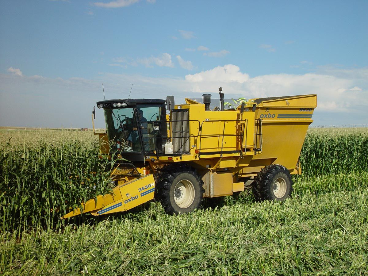 Arracheuse Oxbo 9630 - OxboCorp - Longueur 8.33 m - Largeur 4.32 m - Châssis 586 pieds cubes_2