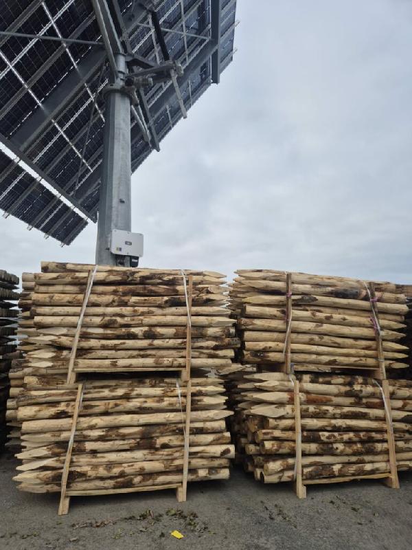 Piquets ronds en châtaignier pour pâturage - LIC003 - Robustes, durables et écologiques_2