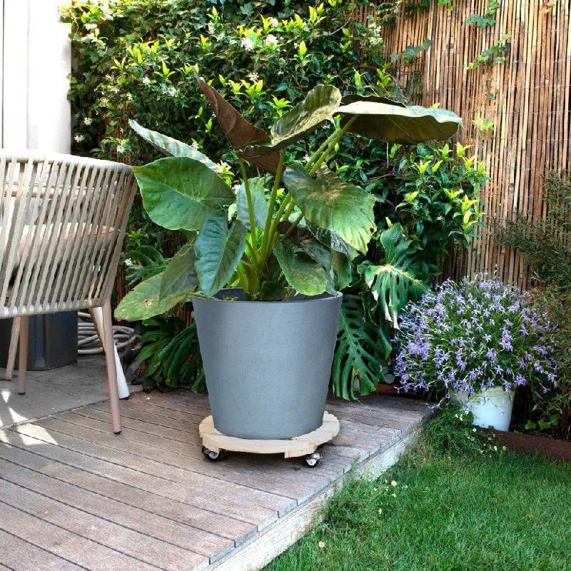 Roule-plante en bois rond brut - Basics - 37,5 cm - Socle roule-plantes_2