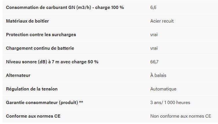 G140 groupe électrogène - briggs - tension (v) 230_2