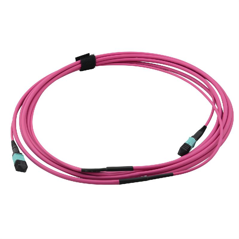 VALUE Câble MPO Trunk 50/125µm OM4, MPO / MPO, violet, 3 m_2