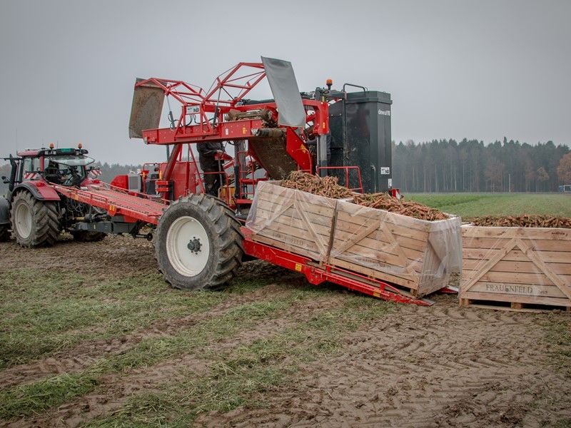 Arracheuse mono-rang Dewulf avec remplisseur de pallox intégré