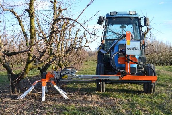 Grow bg02 - andaineurs bois taille - talerres corbins  - 1,53 m_2