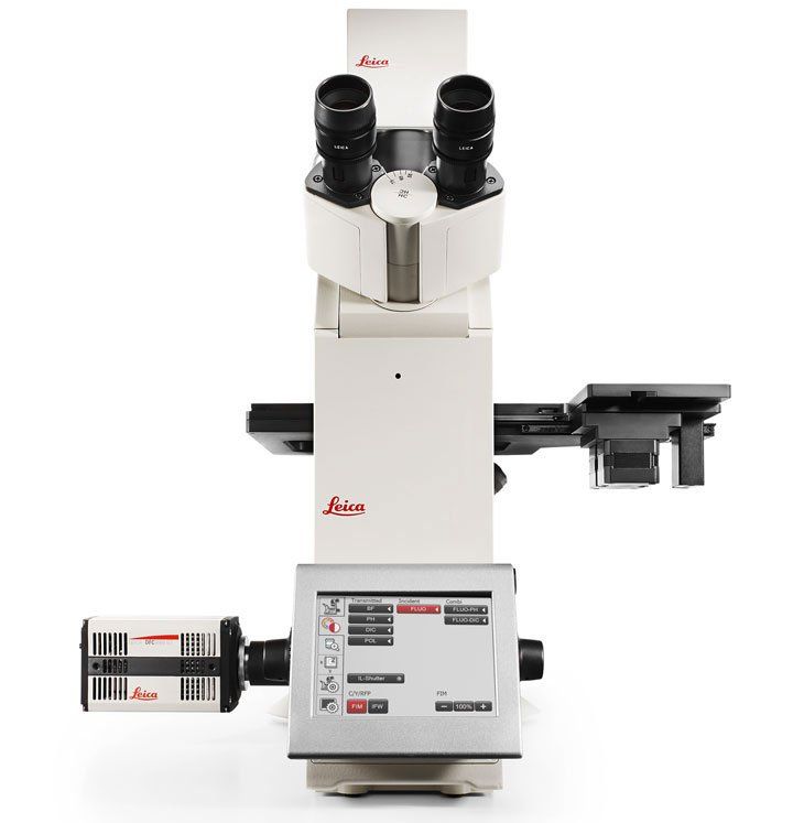 Caméra sCMOS Leica DFC9000 - pour microscope - imagerie en fluorescence haute performance_2