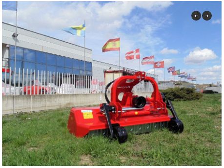 Mte broyeur forestier - dragone web_2