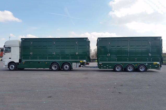 Bba32 - remorque bétaillère - carrozzeria pezzaioli - essieux jumelés simples fixes de 10000 kg_2