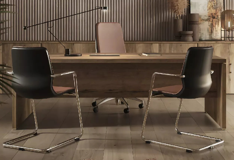 Bureau de Direction So Laroya_2