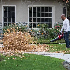 Souffleur      Toro    Ultra blower 51825T - Souffleur de feuilles_2