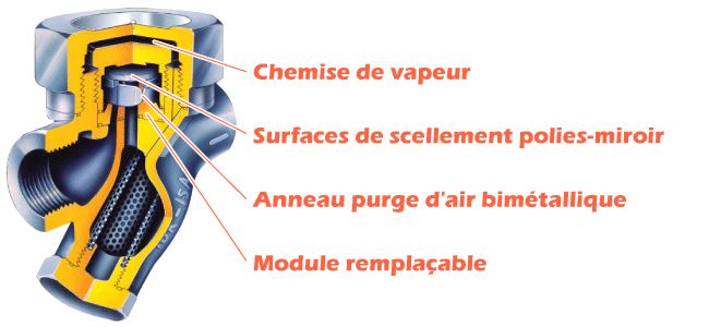 Thermodyne - purgeur thermodynamique - tlv - le plus polyvalent_2