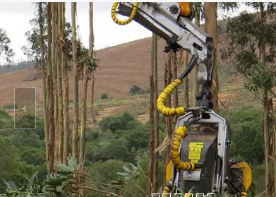 30RH-II tête d'abattage - Kesla - largeur ouverte 1765mm - 2WD/3WD et scie supérieure intégrée_2