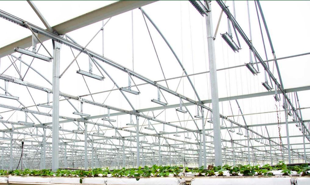 Serre Asy-starter avec gain de CO2 naturel et réduction de traitements