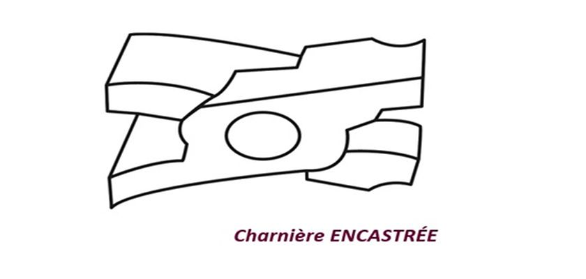 Pince à border droite Tyma SAS - Longueur 100 mm - Référence 5030501100_2