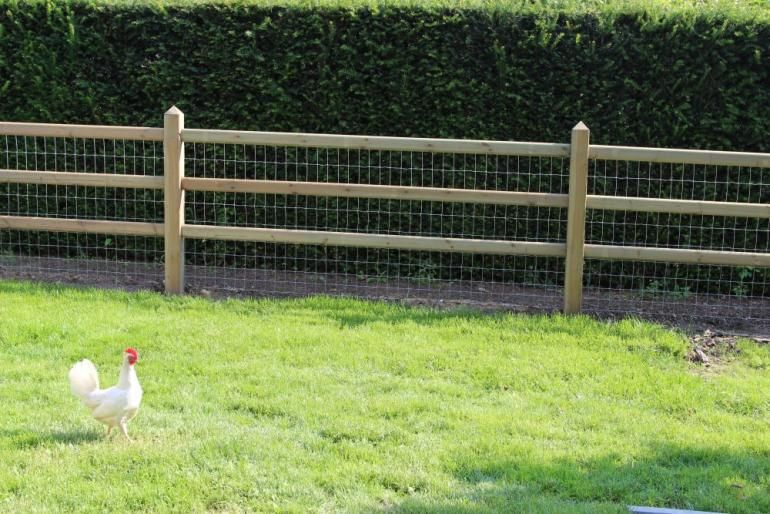 Windsor - clôture en bois pour chevaux - pin rouge norvégien durable - hauteur 1m20 à 1m30_2