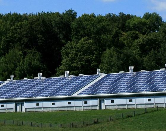 Toitures photovoltaïques pour hangar agricole, bâtiment_2