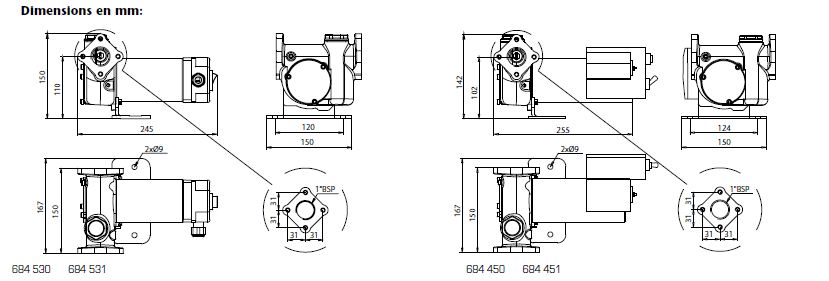 Pompe de transfert gazole pour batteries - Série POLUX 12/24 V - Réf 684 530 - 684 451_2