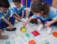 Robot éducatif BEEBOT - Programmation pour maternelle_2