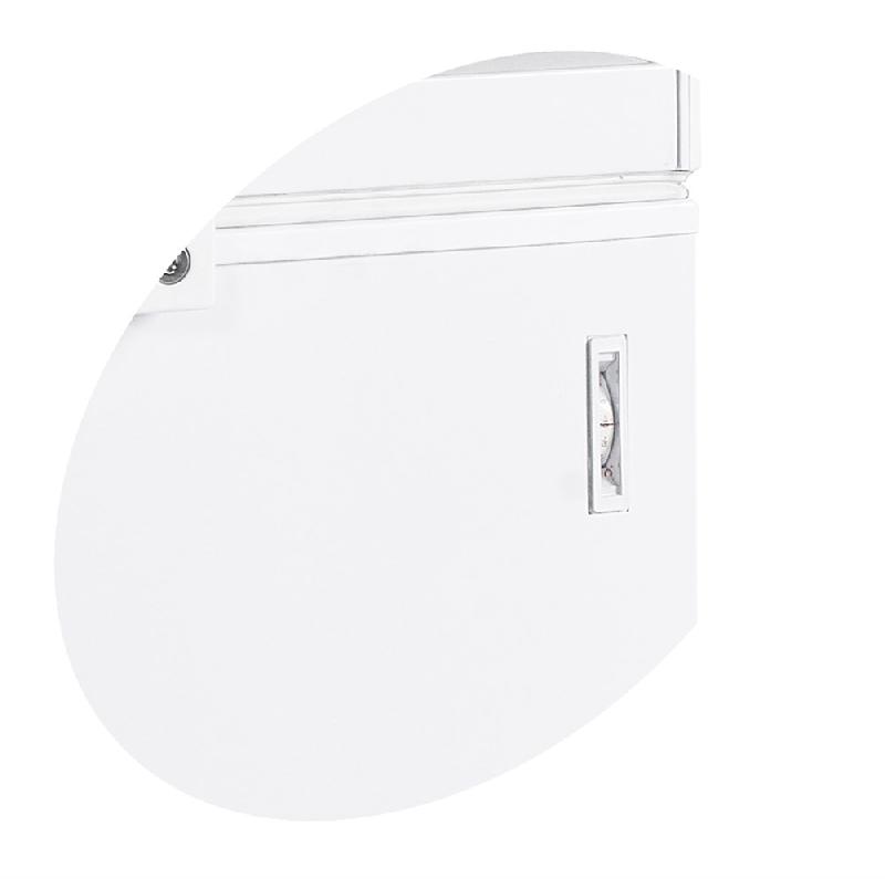 Congélateur de crème glacée - 273 L | Tefcold - FR305SL_2