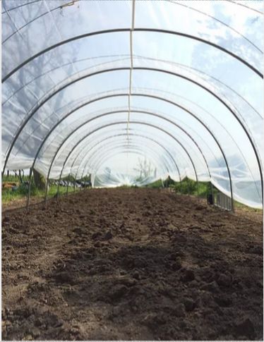 Rapid- serre tunnel - serres natural - larg. 4.00m_2