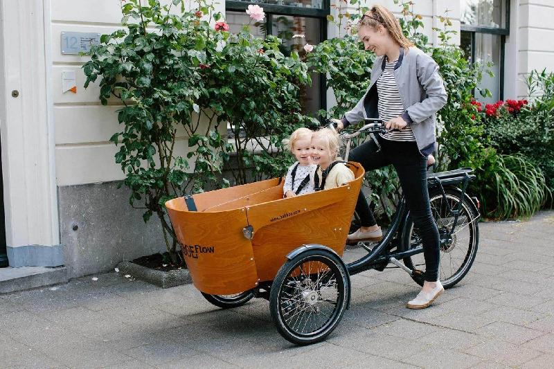 Triporteur électrique Babboe Flow-E - Vélo familial avec moteur GWA et pneus Schwalbe_2