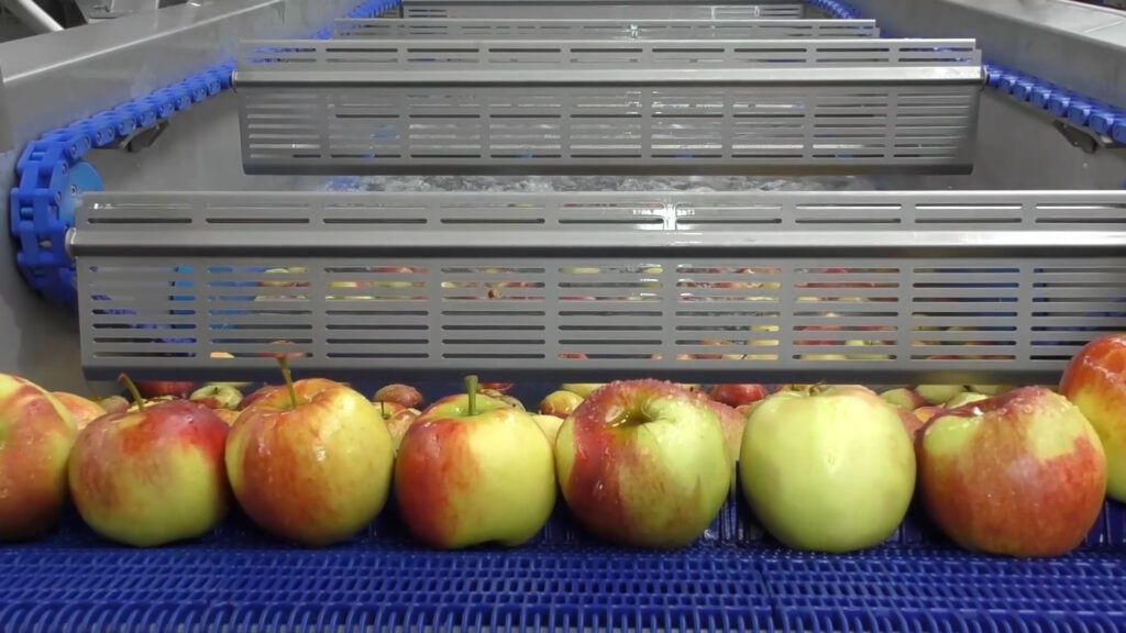 Fw - laveuses industrielles alimentaires - sormac - laveuse de fruit_2