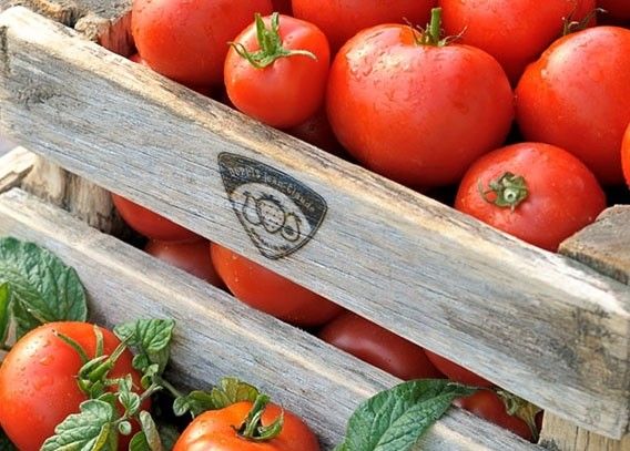 Posta Perma marque à chaud - Royalposthumus - Ø30mm - Appareil 100W_2