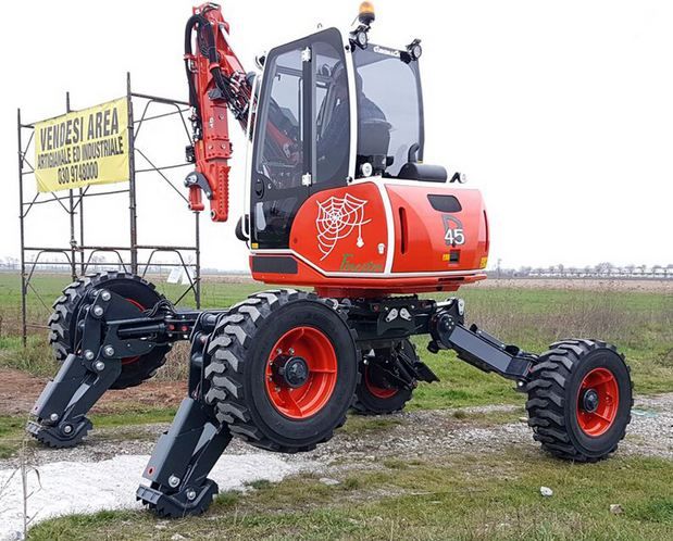 R45 big foot - forester pelle araignée_2