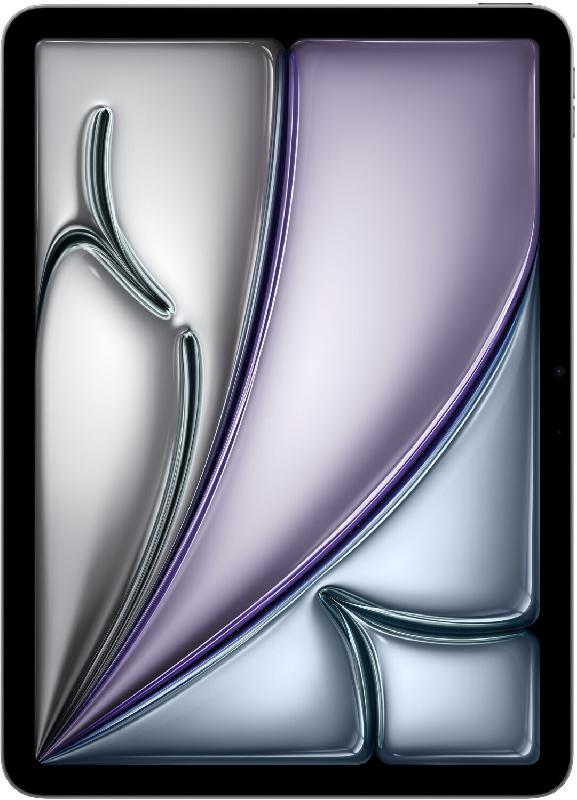 IPad Air 11 1To Wifi + Cel (2025) - Gris sidéral_2