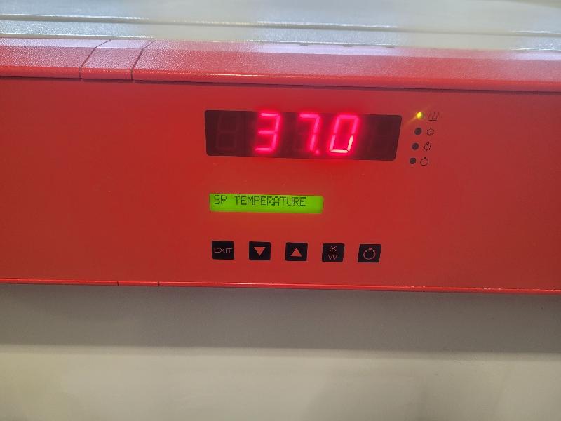 Incubateur / étuve réfrigéré BINDER KB-115 avec convection forcée 100°C_2