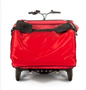 Triobike Tricycle Taxi CL - Vélo pour personnes âgées avec coussins sur mesure et ceinture de sécurité_2