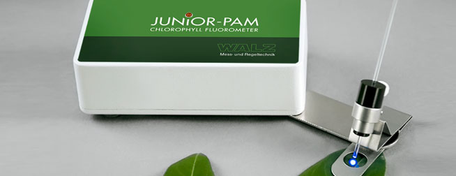 Junior PAM - Fluorimètre économique pour l'enseignement des mesures de fluorescence de la chlorophylle avec technique modulée_2