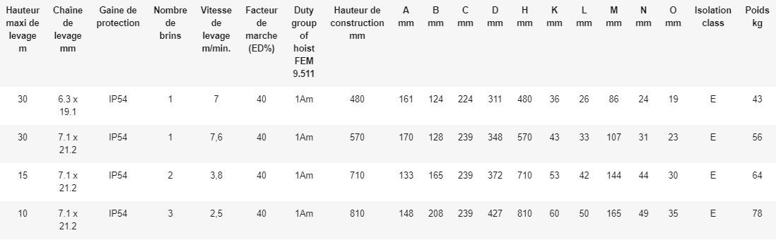 Palan électrique à chaîne Elephant type FAH - Rema Holland B.V. - Hauteur de levage 3 m - 400 V avec fin de course haut et bas_2