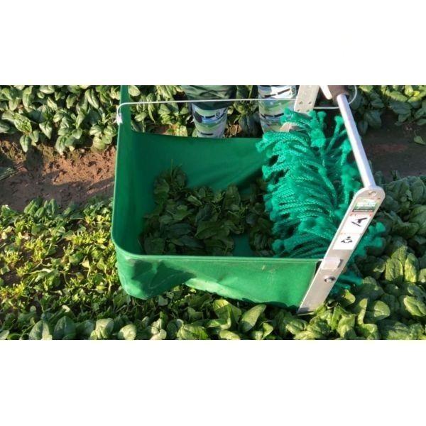 Récolteuse à mesclun électrique - Coupe nette et précise - Débit 80kg/heure - Largeur 45cm_2