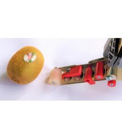 Etiqueteuse de fruits professionnelle - RÉF. DGP01-ET - Pour poires, pommes, tomates et plus_2