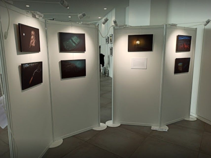 Système de panneaux d'exposition avec configurations multiples