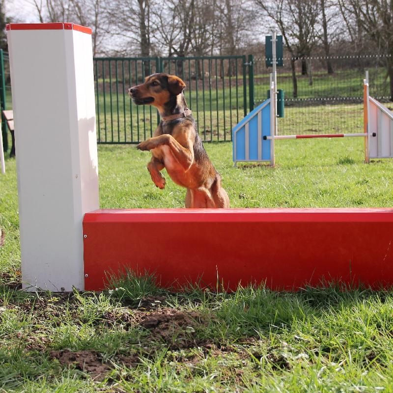 Mur parcours canin_2