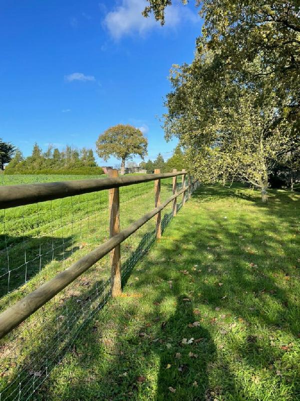 Lice en bois classe IV - CLO004 - Clôture équestre résistante et esthétique_2