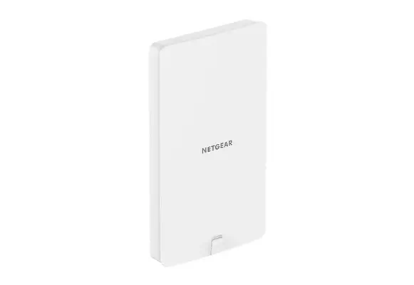 Insight Cloud Managed WiFi 6 AX1800 Dual Band Outdoor Access Point (WAX610Y)_2