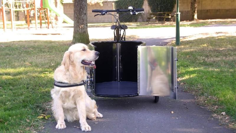 Triporteur Nihola Cargo Open (musculaire) avec porte en aluminium et seuil de chargement bas_2