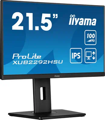 Iiyama ProLite XUB2292HSU-B6_2