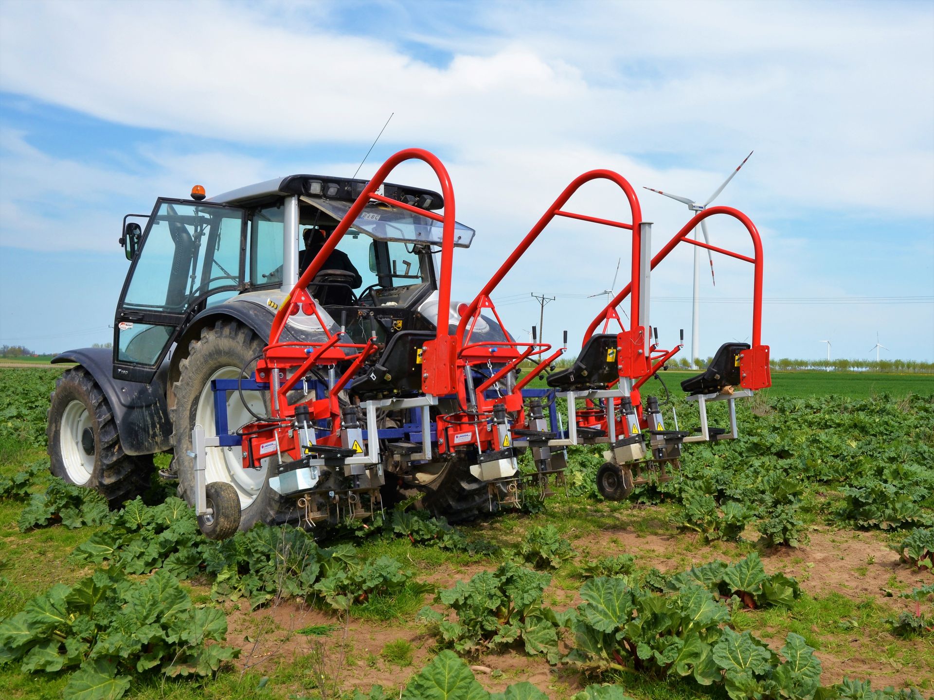 Bineuse sur le rang ZUZA 3 - 1, 2 ou 3 rangées - Éléments rotatifs pour cultures maraîchères et fruitières - JAGODA JPS Agromachines_2