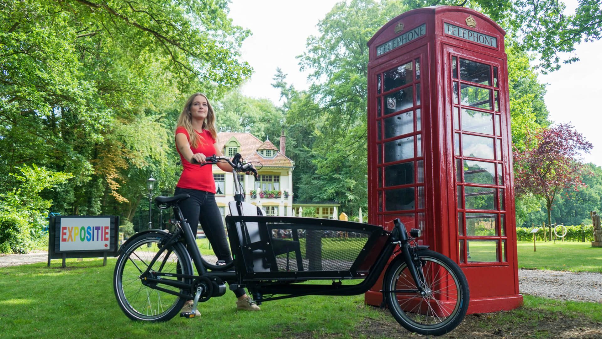 Biporteur électrique Shadow Shimano E-Bike Systems - Cadre aluminium, freins à disque, assistance électrique_2