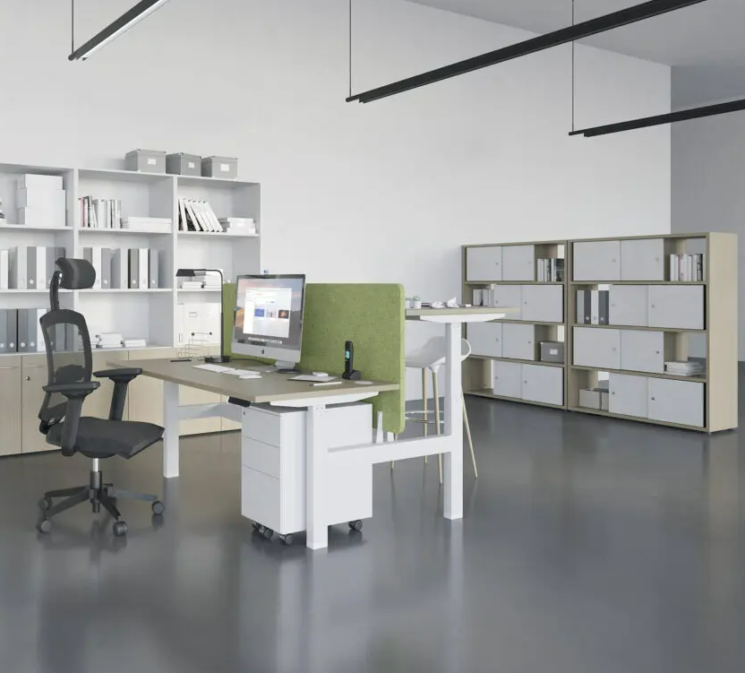 Armoire basse avec rangements optimisés pour espaces professionnels_2