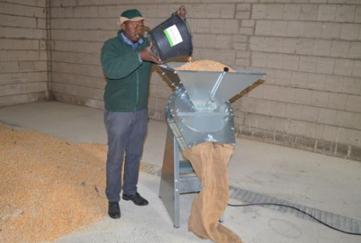 Broyeur à marteaux pour le broyage du maïs, blé, millet, riz ou sorgho - RÉF. RLA03-ET_2