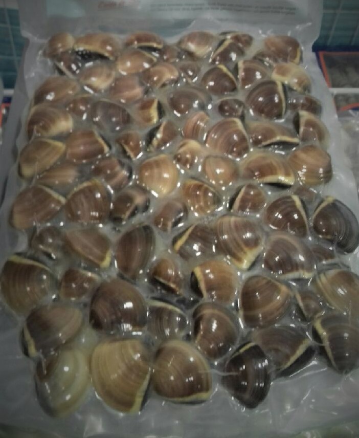 Lot de 100 sachets sous vide conservation - PA/PE transparents - SCO300400-110, SCO300500-110, SCO400600-110_2